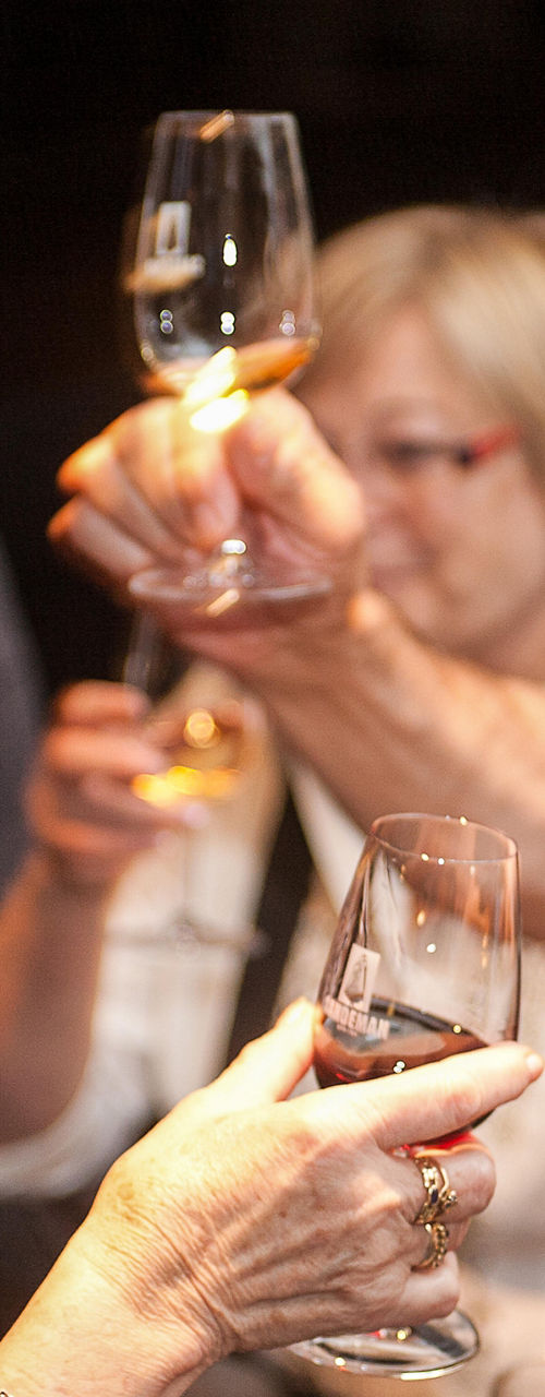 Group toast with wine glasses at gathering