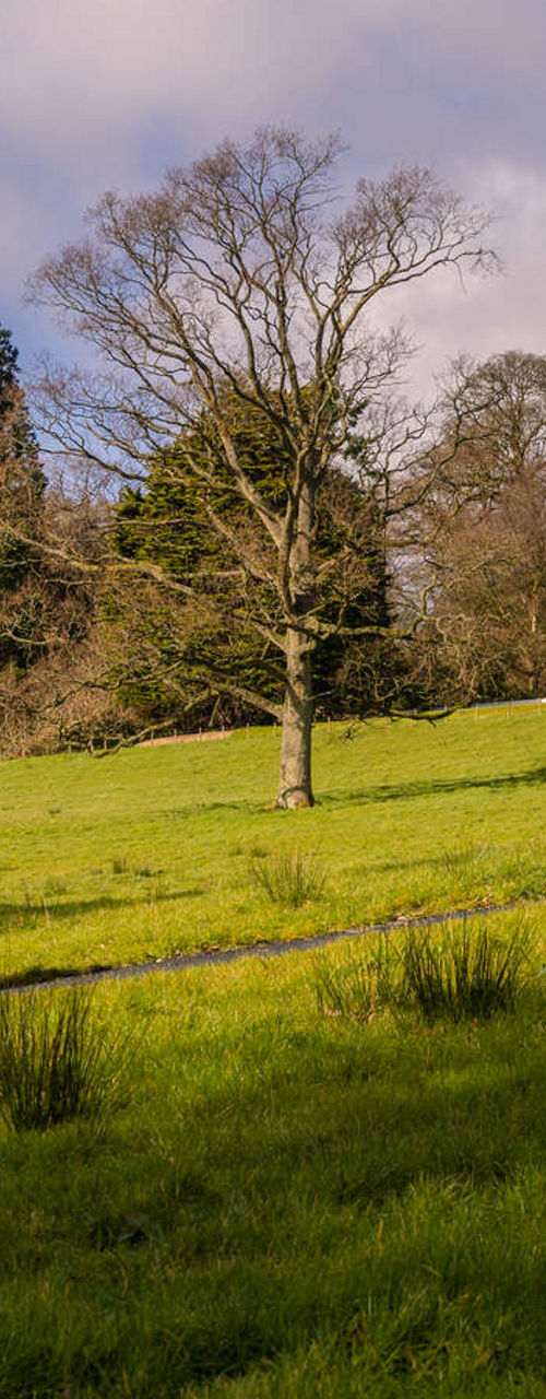 Group hiking across grassy countryside estate