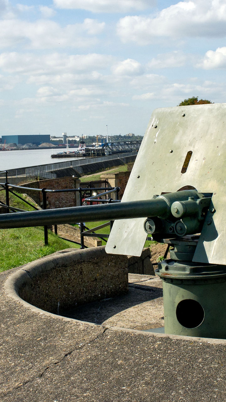 Historic coastal defense cannon on grassy fort