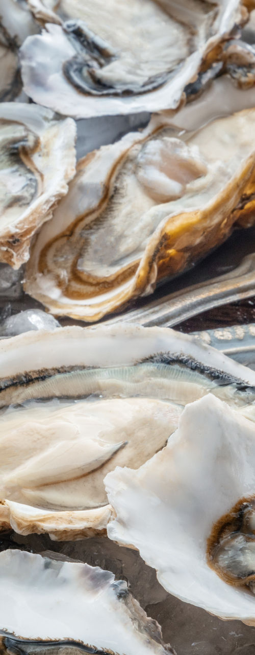Fresh oysters with champagne and lemon