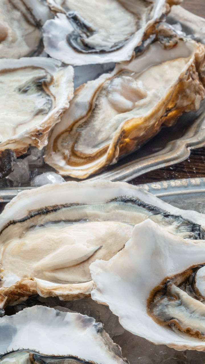 Dalmatian Coast Wine & Food Tasting