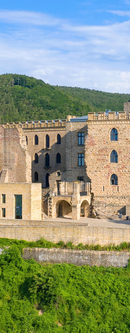 Historic Castle on Lush Green Hill