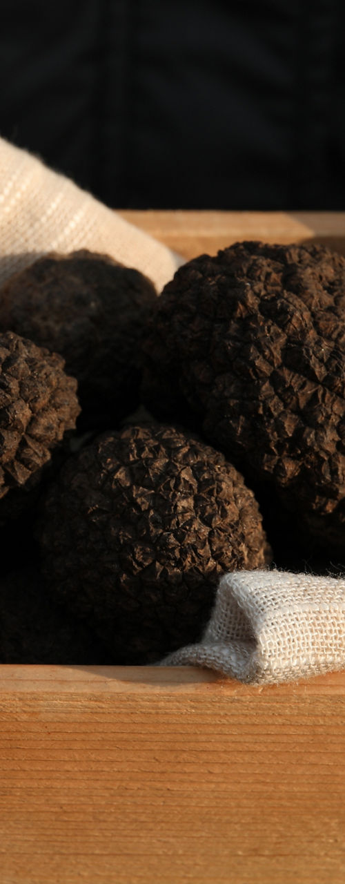 Hands holding wooden box of black truffles
