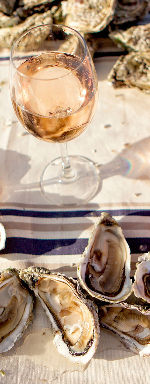 Fresh oysters with wine on table