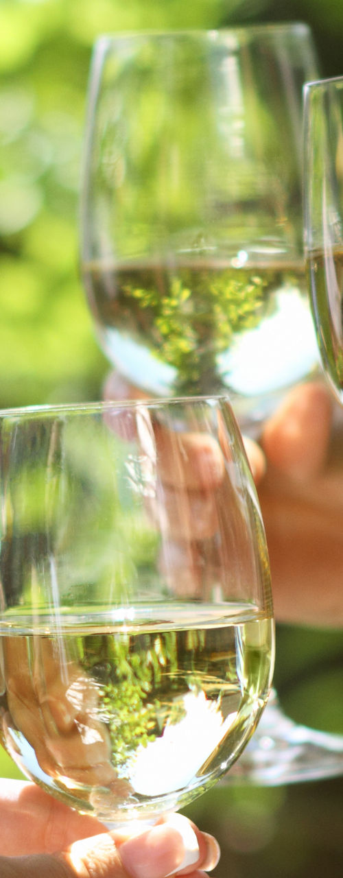 Friends toasting with white wine outdoors
