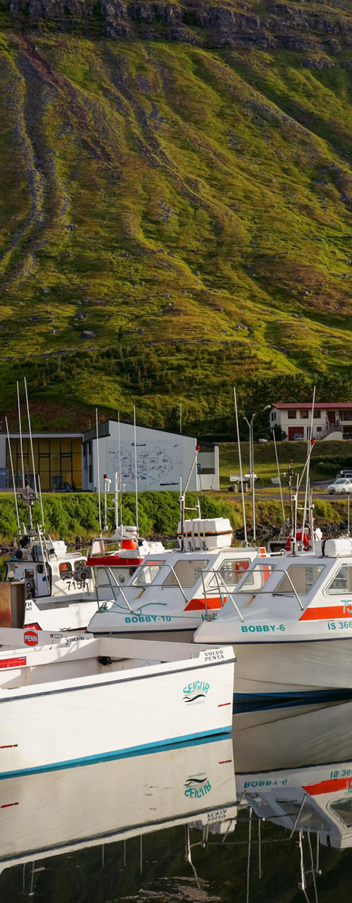 Fishing boats docked in scenic fjord town