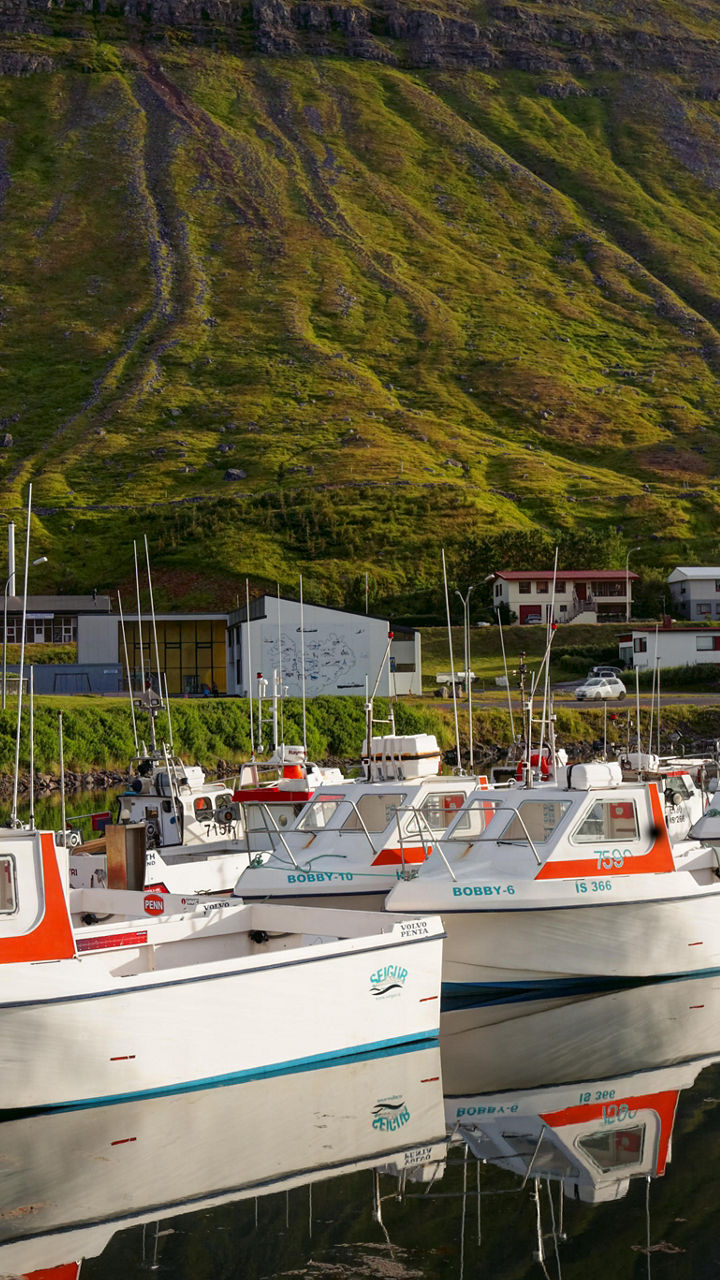 Iceland’s Seafood Trail