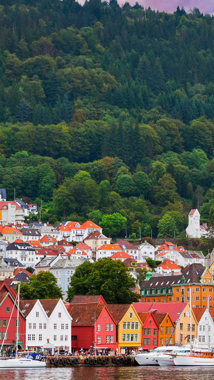 Colorful waterfront houses in Bergen, Norway