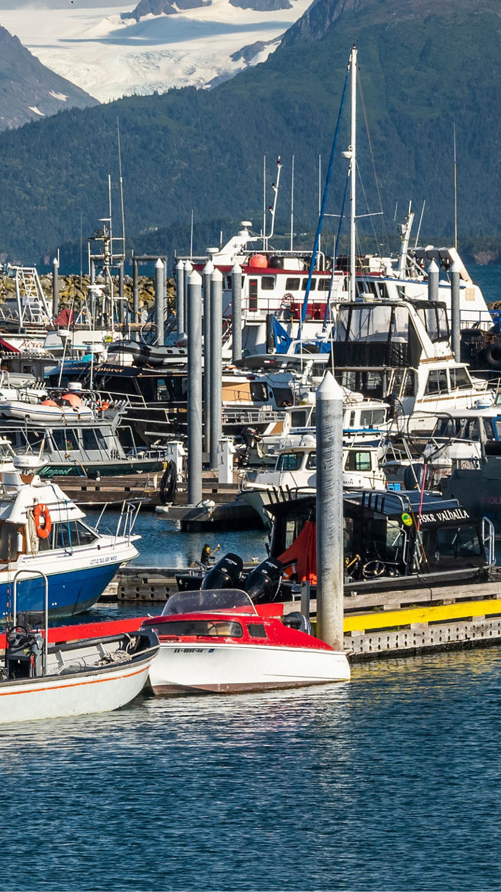 Scenic marina with boats and mountains