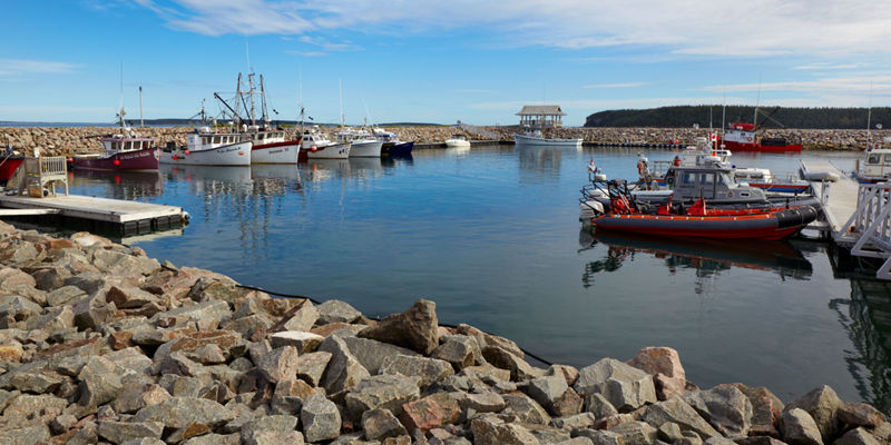 Scenic harbor with fishing boats and calm waters