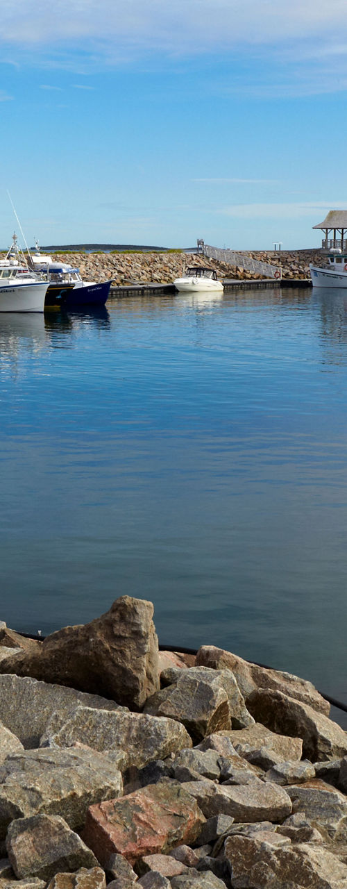 Scenic harbor with fishing boats and calm waters