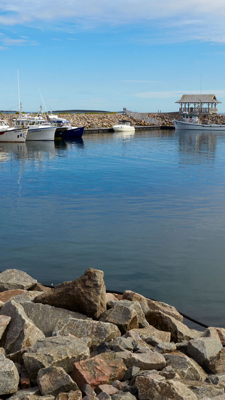 Scenic harbor with fishing boats and calm waters