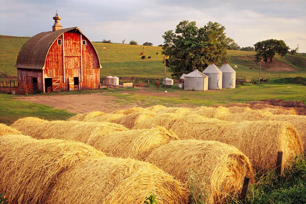 Rustic barn with hay bales in countryside