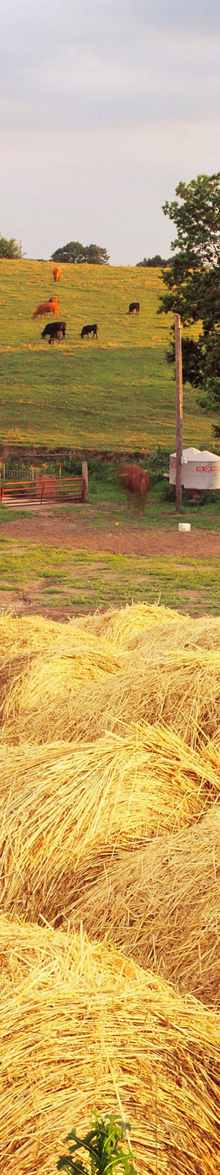 Rustic barn with hay bales in countryside