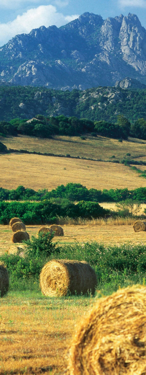 Scenic Countryside with Hay Bales and Mountains