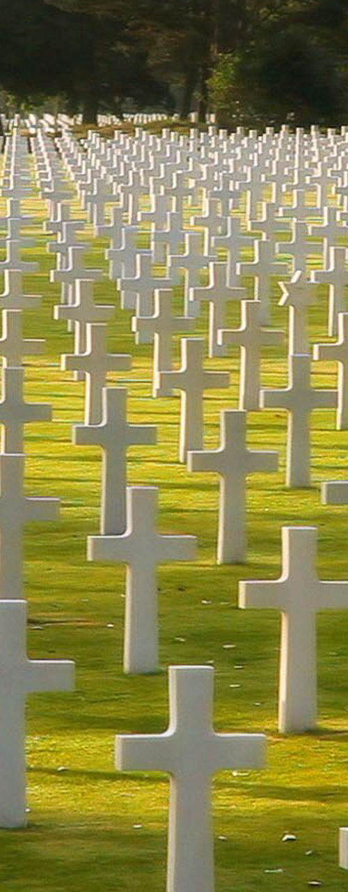Military cemetery with white crosses