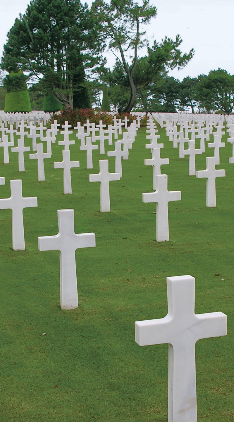 White Crosses in Military Cemetery