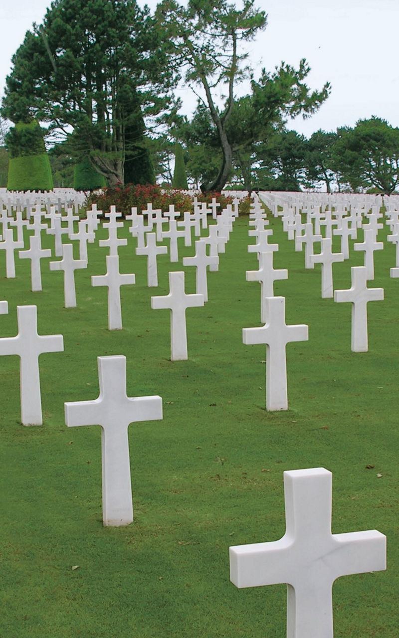 White Crosses in Military Cemetery