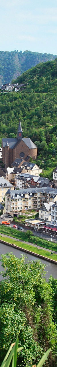 Scenic view of German town and statue