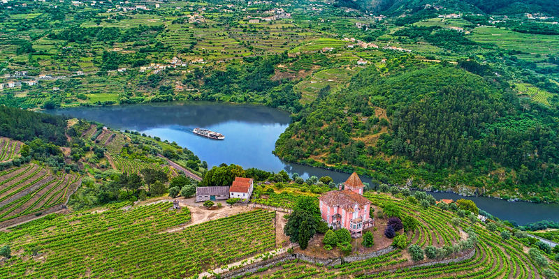 Scenic vineyard overlooking river valley