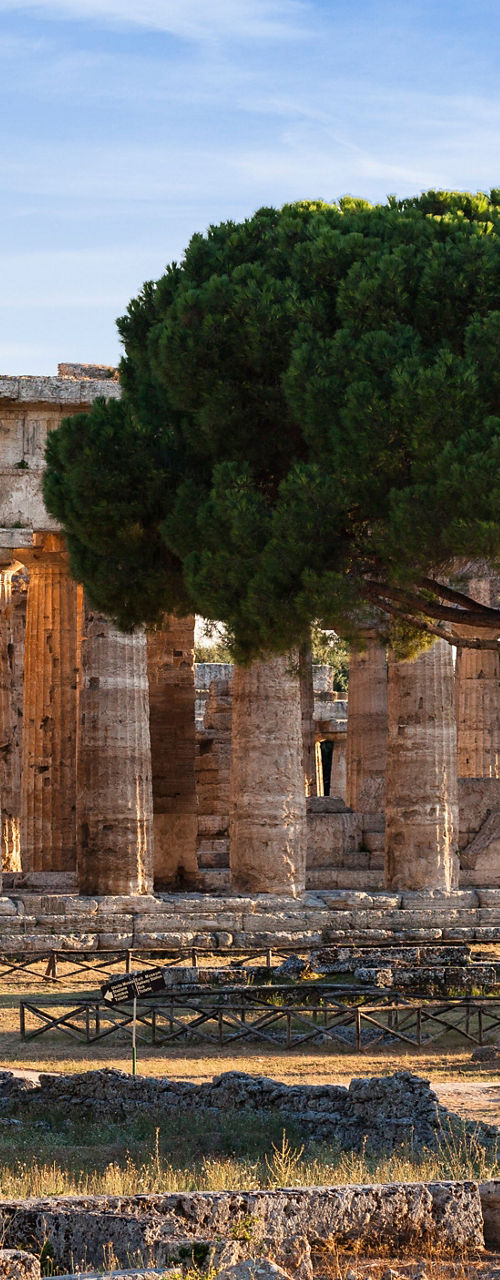 Ancient Greek Temple in Sunlit Landscape