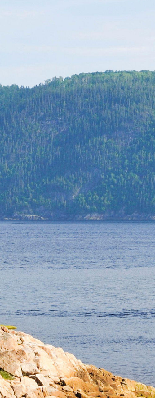 Solitary figure on rocky beach by cliffs