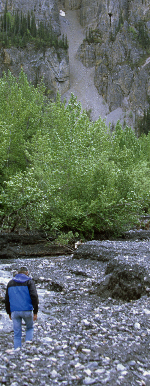 Group hiking in rocky forest valley