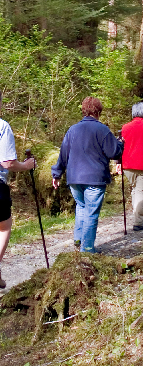 Group hiking on forest trail outdoors