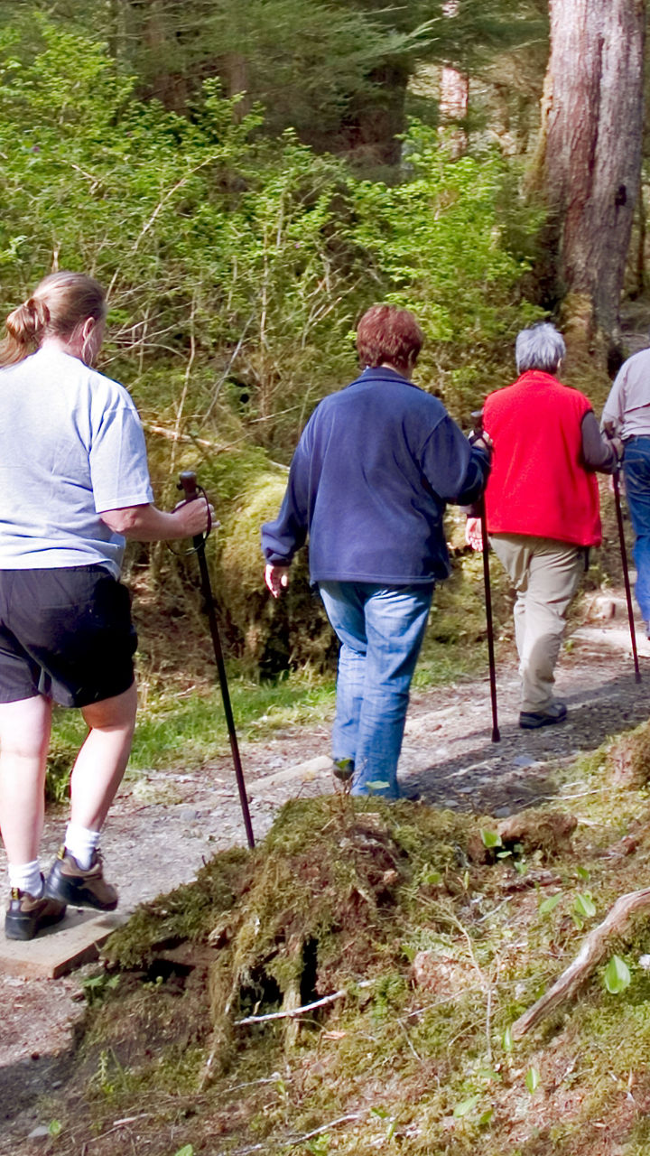 Wrangell by E-Bike & Rainforest Trek