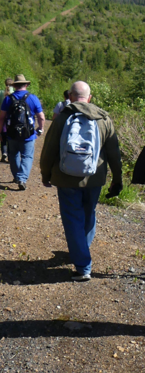 Group hiking scenic mountain trail