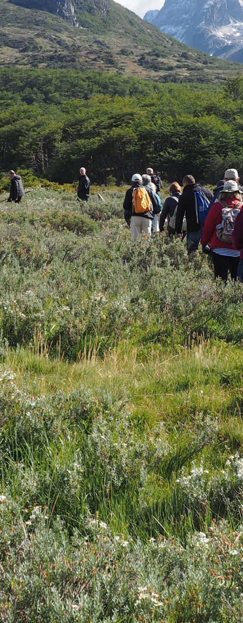 Group hiking in scenic mountain valley