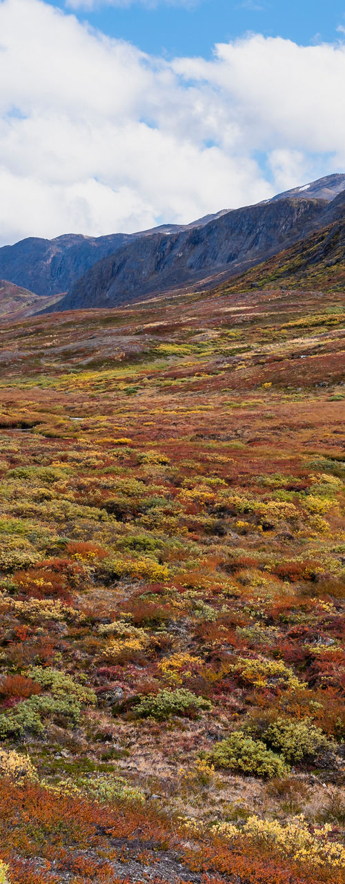 Scenic autumn valley with stream and mountains