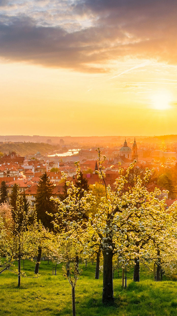 Sunset over Prague with blooming trees