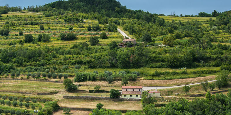Scenic countryside with terraced fields and houses