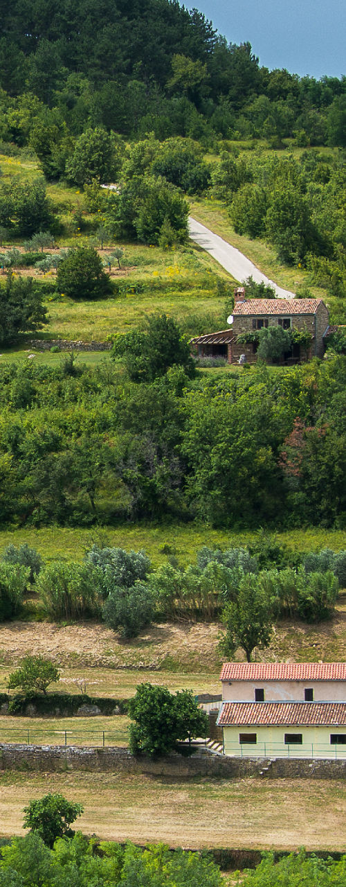Scenic countryside with terraced fields and houses