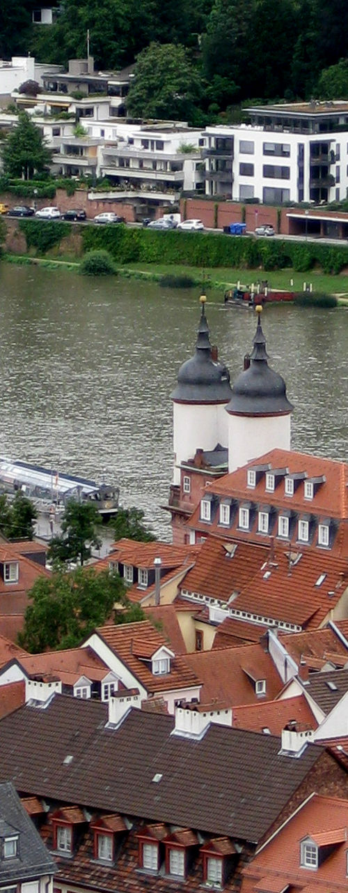 Scenic view of Heidelberg rooftops and river