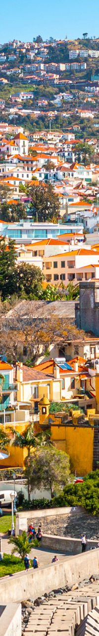 Colorful coastal cityscape with hillside houses