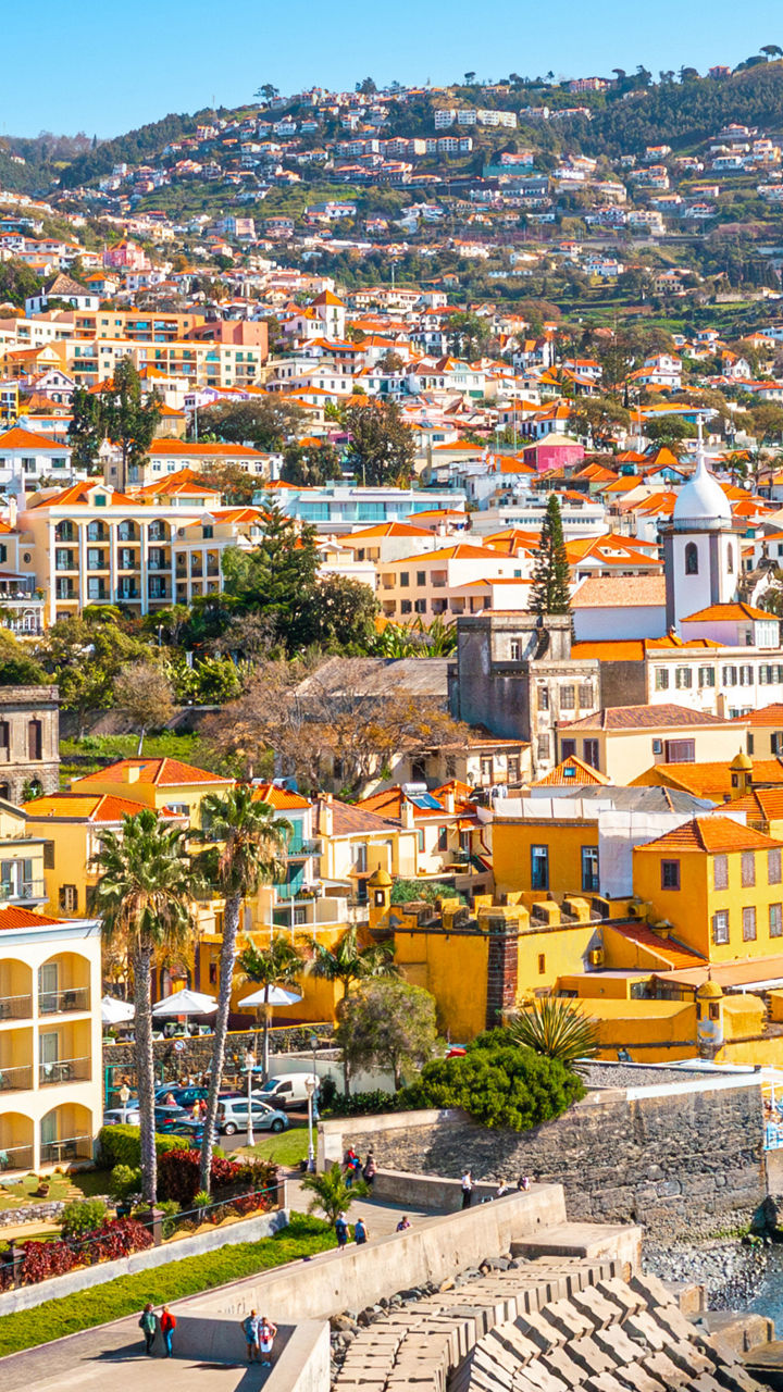 Colorful coastal cityscape with hillside houses