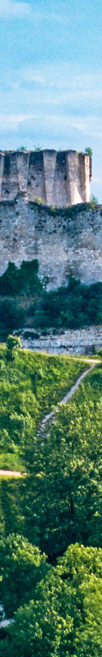 Historic castle ruins on lush hillside