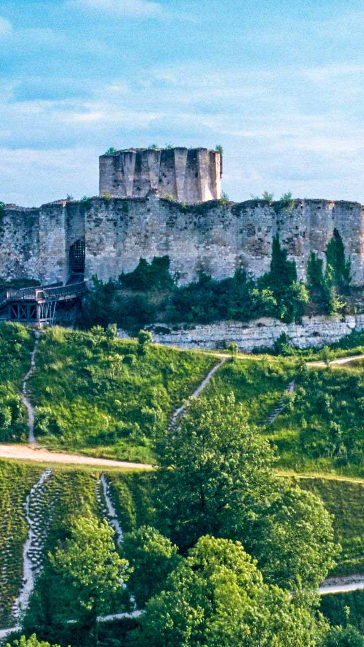 Historic castle ruins on lush hillside
