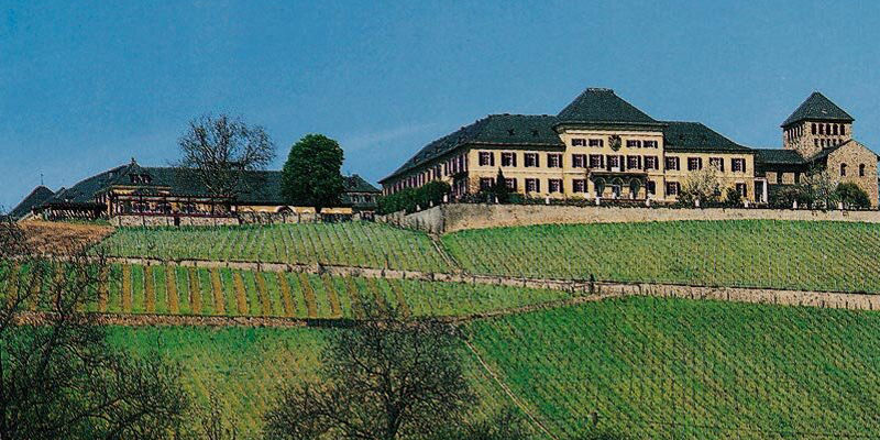 Vineyard estate on rolling green hills
