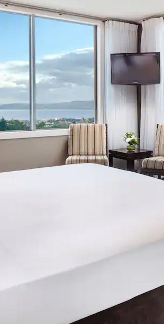 Modern hotel room with scenic window views