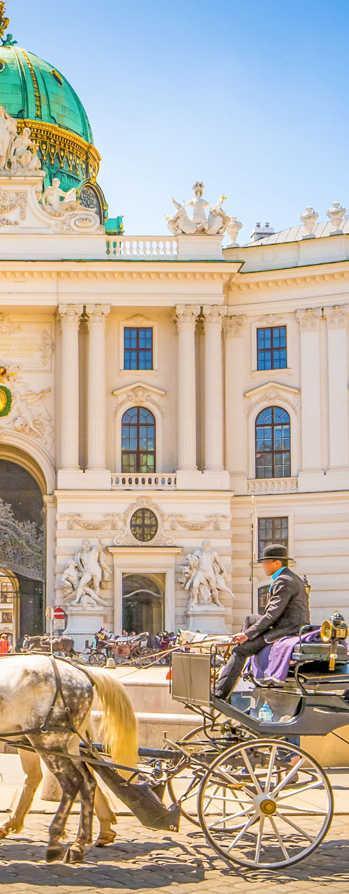 Horse-drawn carriage at Hofburg Palace, Vienna
