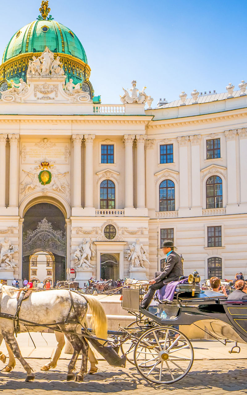 Horse-drawn carriage at Hofburg Palace, Vienna