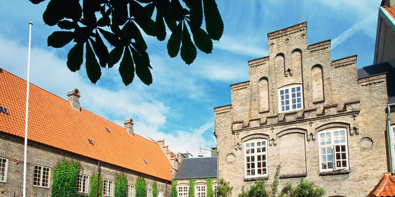 Historic brick courtyard with ivy-covered walls