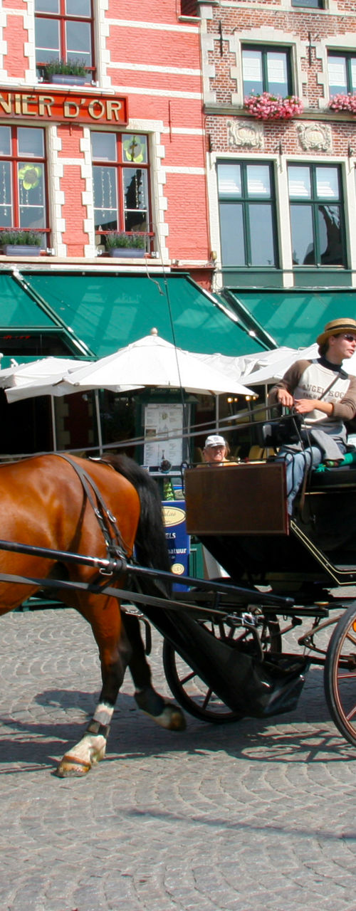 Horse-drawn carriage in historic European square