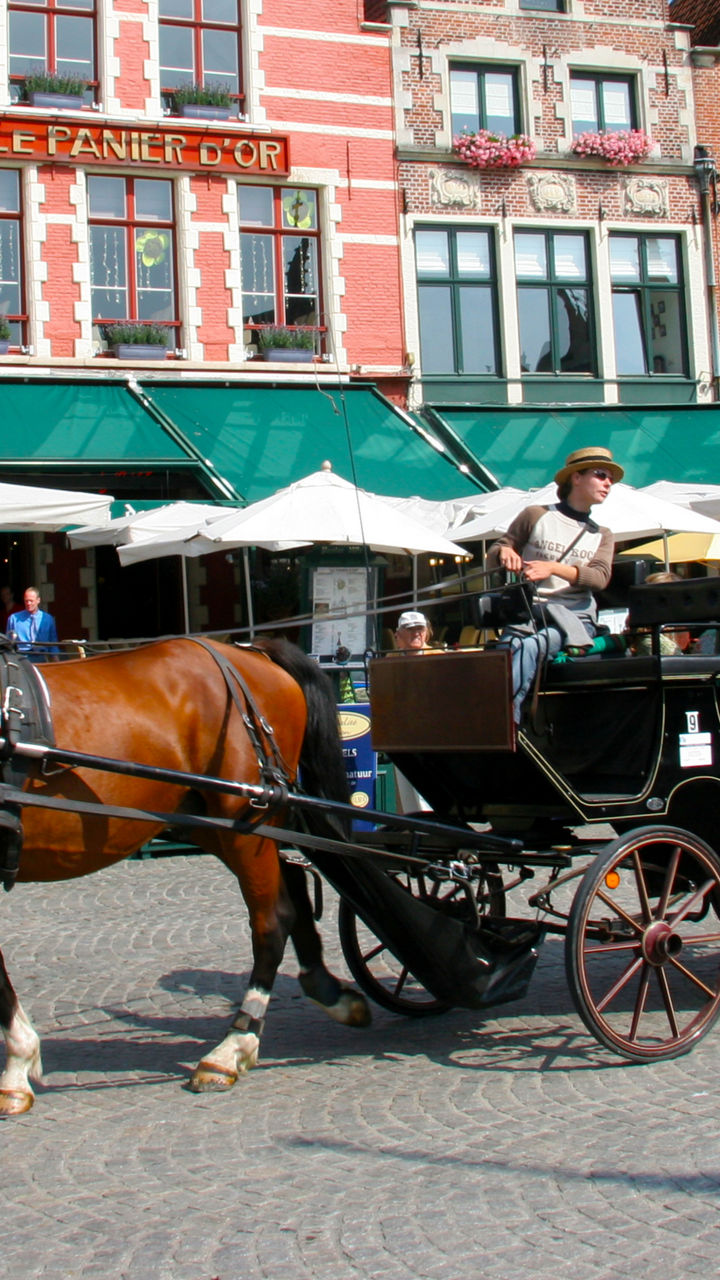 Horse-drawn carriage in historic European square