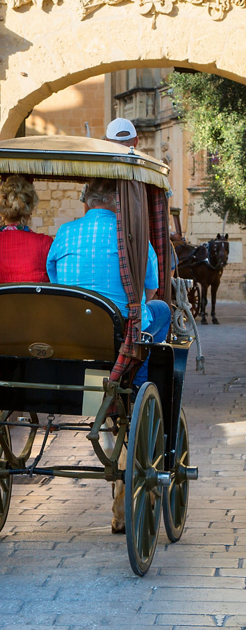 Horse-drawn carriage entering historic stone gate