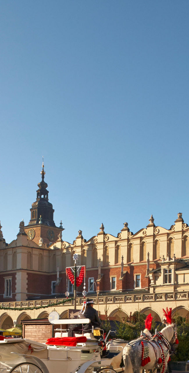 Festive Christmas Market with Horse Carriages
