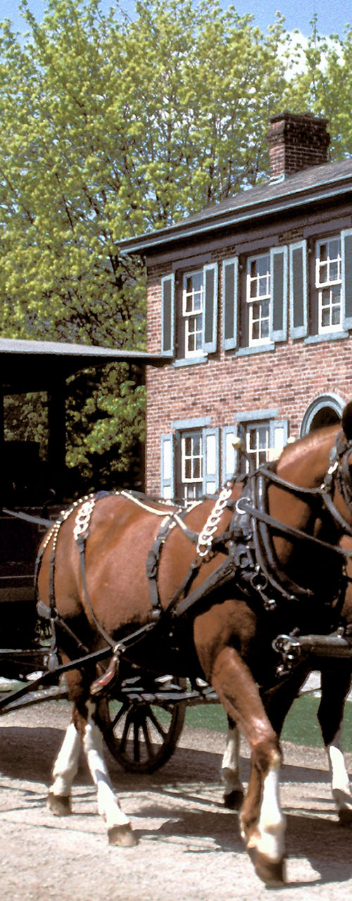 Horse-drawn carriage in historic village